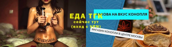дживик Шадринск
