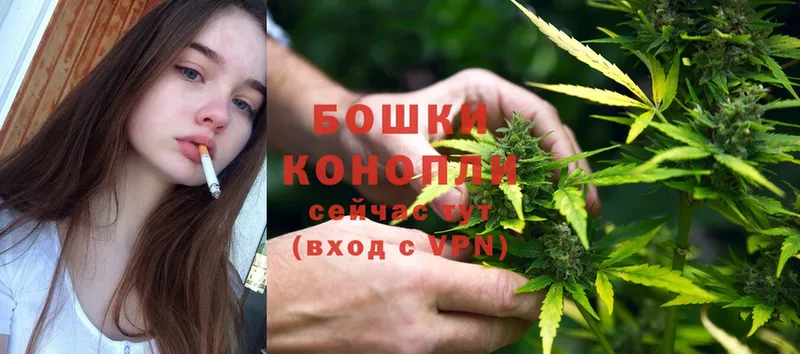 МЕГА маркетплейс  Берёзовский  Бошки Шишки SATIVA & INDICA 